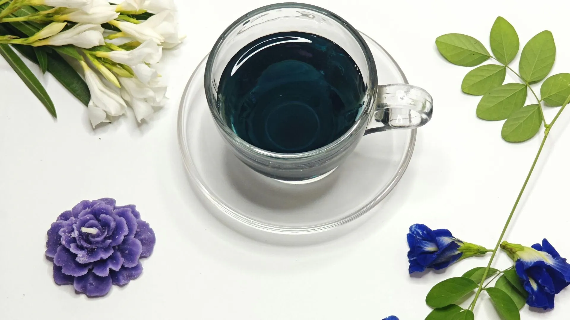 Immune System Vitamins