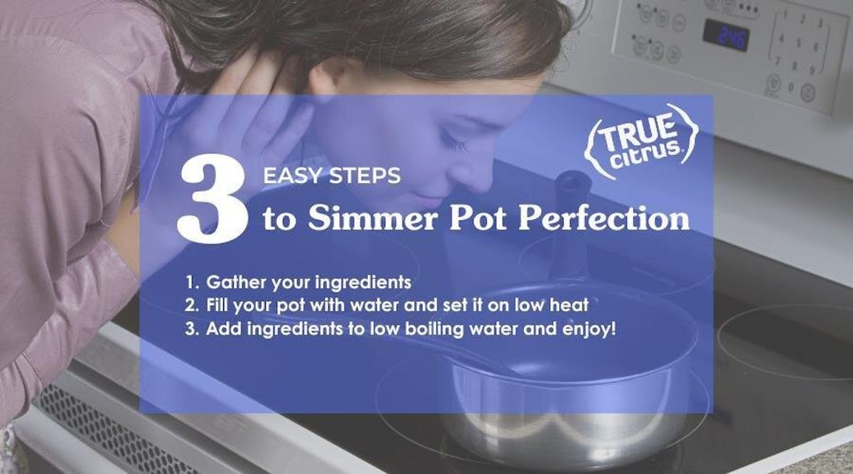 How to Make a Simmer Pot (It’s Easier Than You Think!)