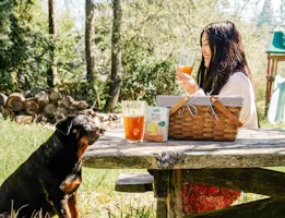 photo of tea party setting